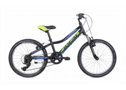 Junior 20